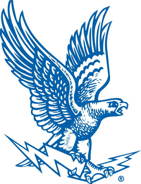 Air Force Falcons 1963-1994 Primary Logo iron on transfers for clothing
